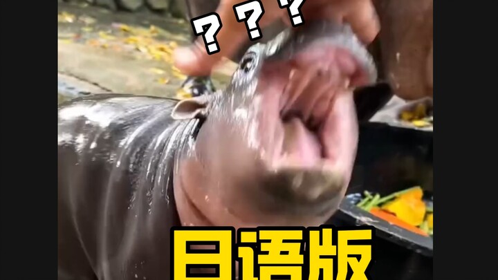 Strange hippos increase