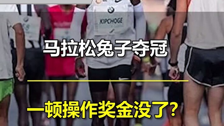 الأرنب الماراثوني المزعج يفوز باللقب، لكن في النهاية تصرفات مثيرة غريبة تُفقده جائزة المركز الأول؟