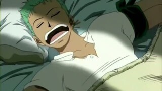 Jangan Ganggu Tidurnya Zoro 😏