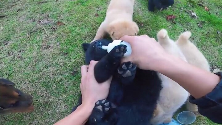 ไม่เต็มใจอย่างยิ่ง