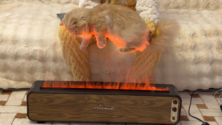 Wait! Looks like there's something dirty?