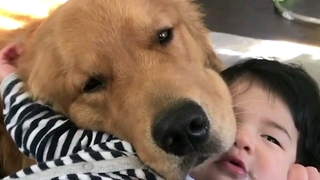 Dogs and human babies—dogs reserve all their tenderness for human babies.