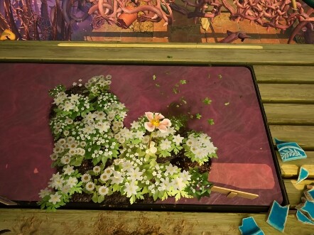 Have you all done these romantic things in the game yet?