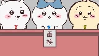 【ちいかわ】Shisa Baby's job interview