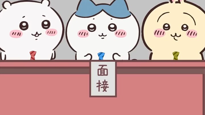【ちいかわ】Shisa Baby's job interview