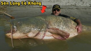 Người Đàn Ông Săn Lùng Và Đi Câu Con Cá Khổng Lồ Cho Bằng Được | Tám Tới Tấp