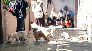 akhir pekan di kebun binatang