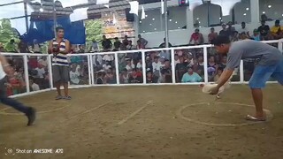 first fight win @balungaocockpitarena