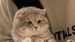 تقليم الأظافر، لكن استغرق الأمر جهداً كبيراً للإمساك بخيار البحر (خيار البحر في الشتاء زلق جداً)