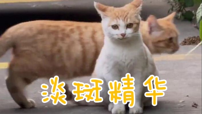 Ya Tuhan, dia sedang tersenyum lho! Bayi yang manis sekali!