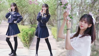 [Bạch tuộc] Xin lỗi vì quá dễ thương (^_-)