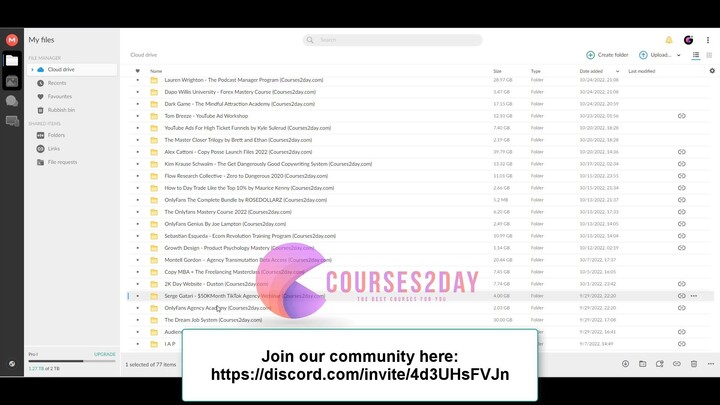 Serge Gatari - $50KMonth TikTok Agency Webinar Download