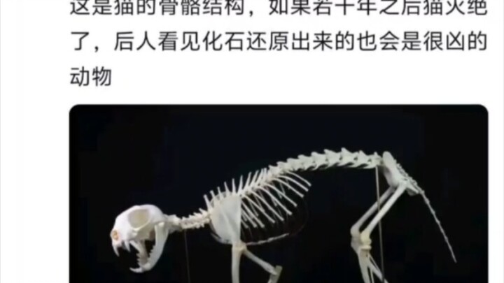 ทำไมสิ่งมีชีวิตโบราณจำนวนมากจึงดูน่ากลัวนัก?