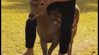 中国游客的一天belike：