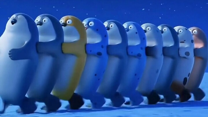 قطار الفقمة ينطلق الآن!