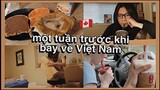 một tuần của du học sinh Canada học online hè mùa Covid (2020)| Những ngày trước khi về Việt Nam