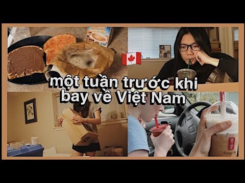 một tuần của du học sinh Canada học online hè mùa Covid (2020)| Những ngày trước khi về Việt Nam