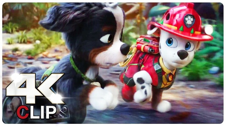 Rex Is Friends With T Rex - PAW PATROL 3 THE DINO MOVIE (NEW 2026) MOVIE CLIP 4K