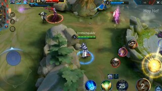 VANHEIN.EXE