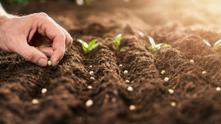 Tiny Farmers, BIG Harvest! 🌱🚜 | Miniature Farming ##YouTubeShorts #Shorts #RelaxingVideos