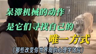 Đã cho nó điều kiện sống tốt như vậy rồi, nó dựa vào đâu mà bị trầm cảm?