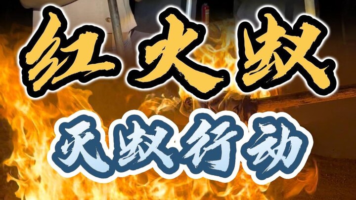 Bắt đầu chiến dịch kiểm soát loài xâm hại ngoại lai mạnh nhất trên mặt đất – “kiến lửa đỏ”
