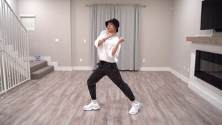 Lagu baru SEVENTEEN "Left & Right" 4 cover dance ganti kostum [Ellen dan Brian]