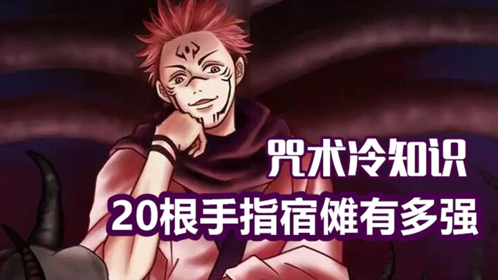 Jujutsu Trivia: Just How Powerful Is Sukuna With His 20 Fingers?