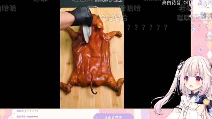 [Daging Masak/Loli Jepang] Jam tangan Baicai "Master Zone UP Hewan Peliharaan yang Lucu"