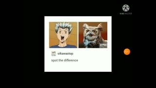 haikyuu memes