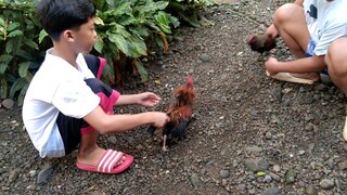 Sparing biling vs hiraw.