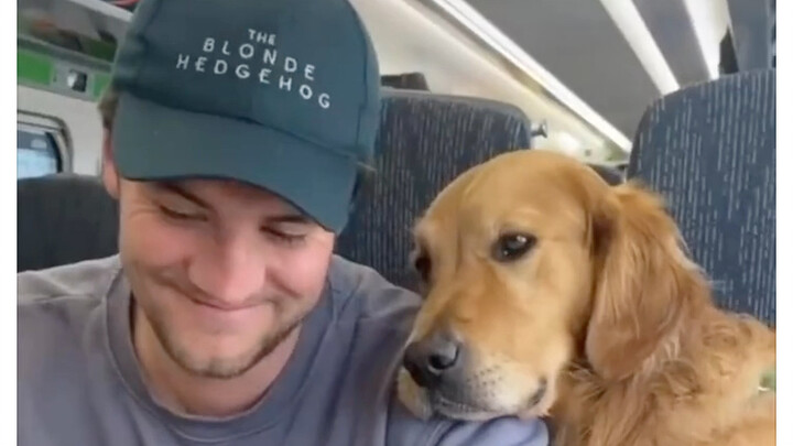 How Golden Retrievers Make Friends with Strangers
