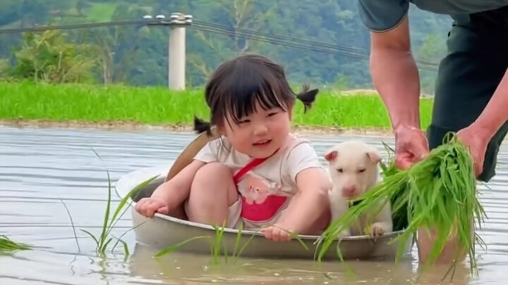 เหยาอีเหยาเริ่มดำนาแล้ว!