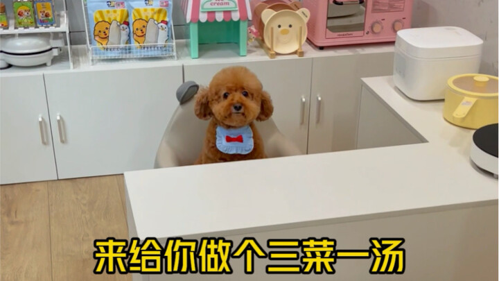 Episode 10 | Pudding’s Mini Kitchen Is Finally Done!