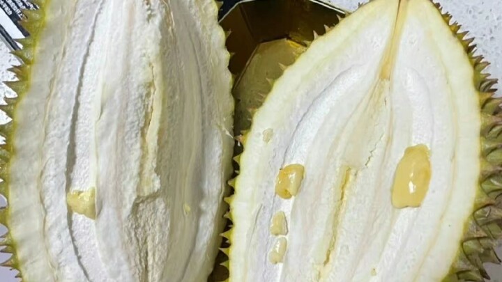 23 Tahun, Beli Sebiji Durian dengan Uang Penuh Tapi Durian Itu Datang untuk Balas Dendam | BGM: “Ber