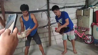 tupada pandemic #1