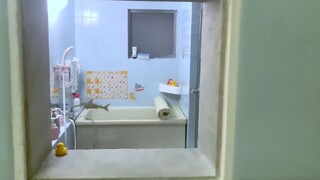 浴室墙砖下的“迷你浴室”