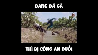 Đang Đá Gà Thì Bị Công An Rượt - Lươn Chúa KTLN