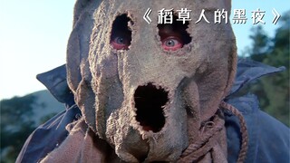 小伙伪装成稻草人，只为躲避恶霸的追杀！《稻草人的黑夜》