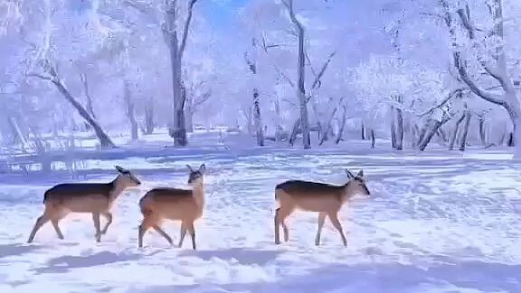 জীবনের হিসাব মিলানো বড় কঠিন