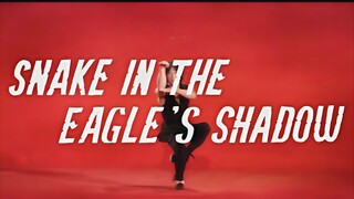 Snake in the Eagle's Shadow (1978) Full Movie Sub Indo