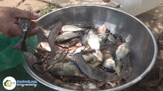 [ Phần 3] Bãi Câu Huyền Thoại - Bất Ngờ Được Giao Lưu | Hội Ngộ Miền Tây - Tập 630