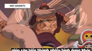 Top 8 Người Vô Tình _Ăn_ Trái Ác Quỷ trong One Piece #18 3