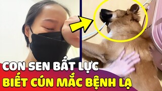 Cô gái 'HỐT HOẢNG' bất lực khi phát hiện chú chó của mình 'MẮC BỆNH LẠ' 😅 | Gâu Đần