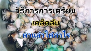 การเตรียม​หอยแครง​และ​เลือก​ใช้​ยังไง​ให้​มี​กำไร​ ต้นทุน​น้อย​ที่สุด​