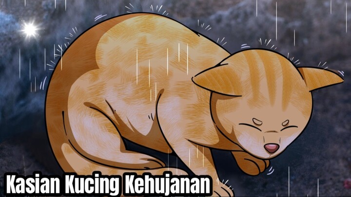 kasian sekali kucing ini kehujanan