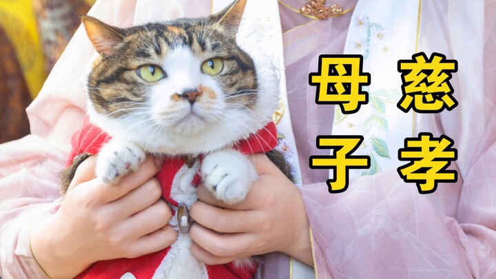 Poto preweding Hanfu bareng kucing—manis banget sampai fotografer terus-menerus memujinya!