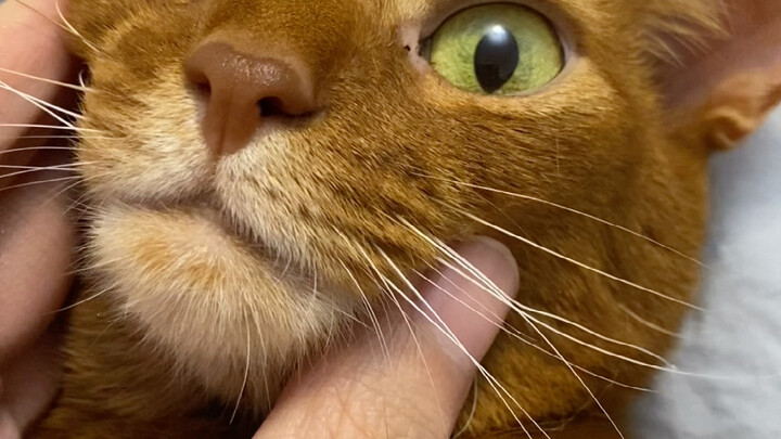 All nine years of my massage skills are finally paying off...