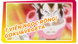 7 Viên Ngọc Rồng|
Goku&Vegeta