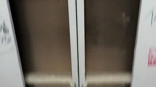 Bánh quy: Kiếp sau vẫn bên anh